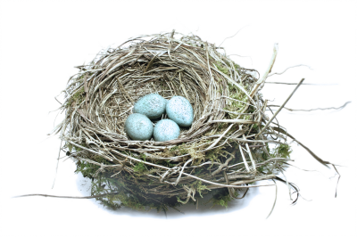 nest